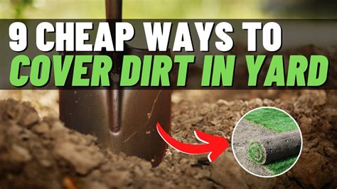 cheapest ground cover for dirt area